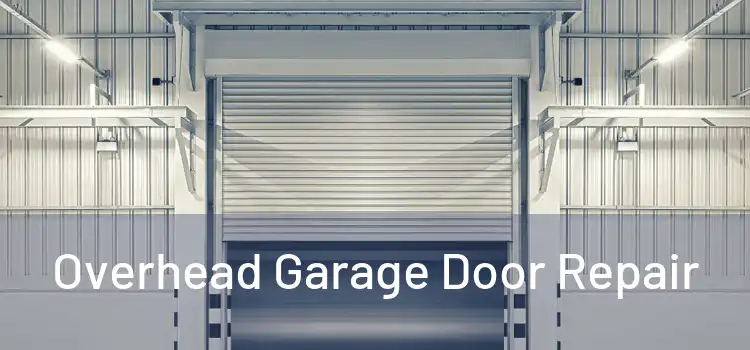  Overhead Garage Door Repair 